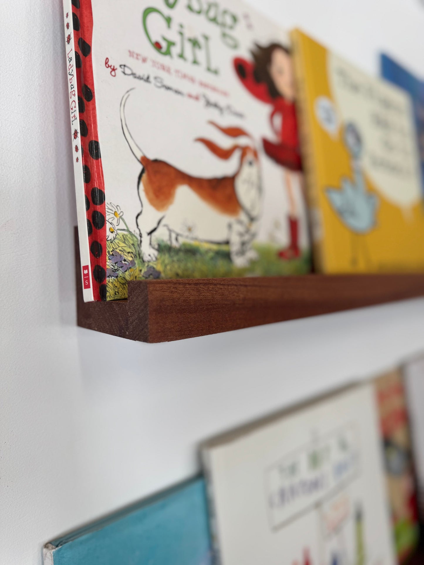 Solid Mahogany Nursery Book Shelf