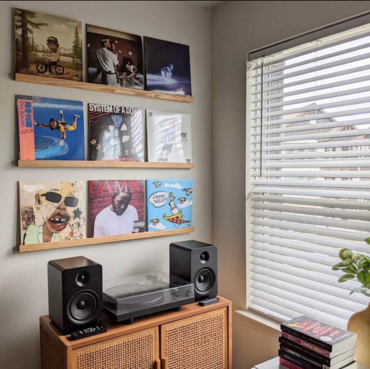 Vinyl Record Display Shelf
