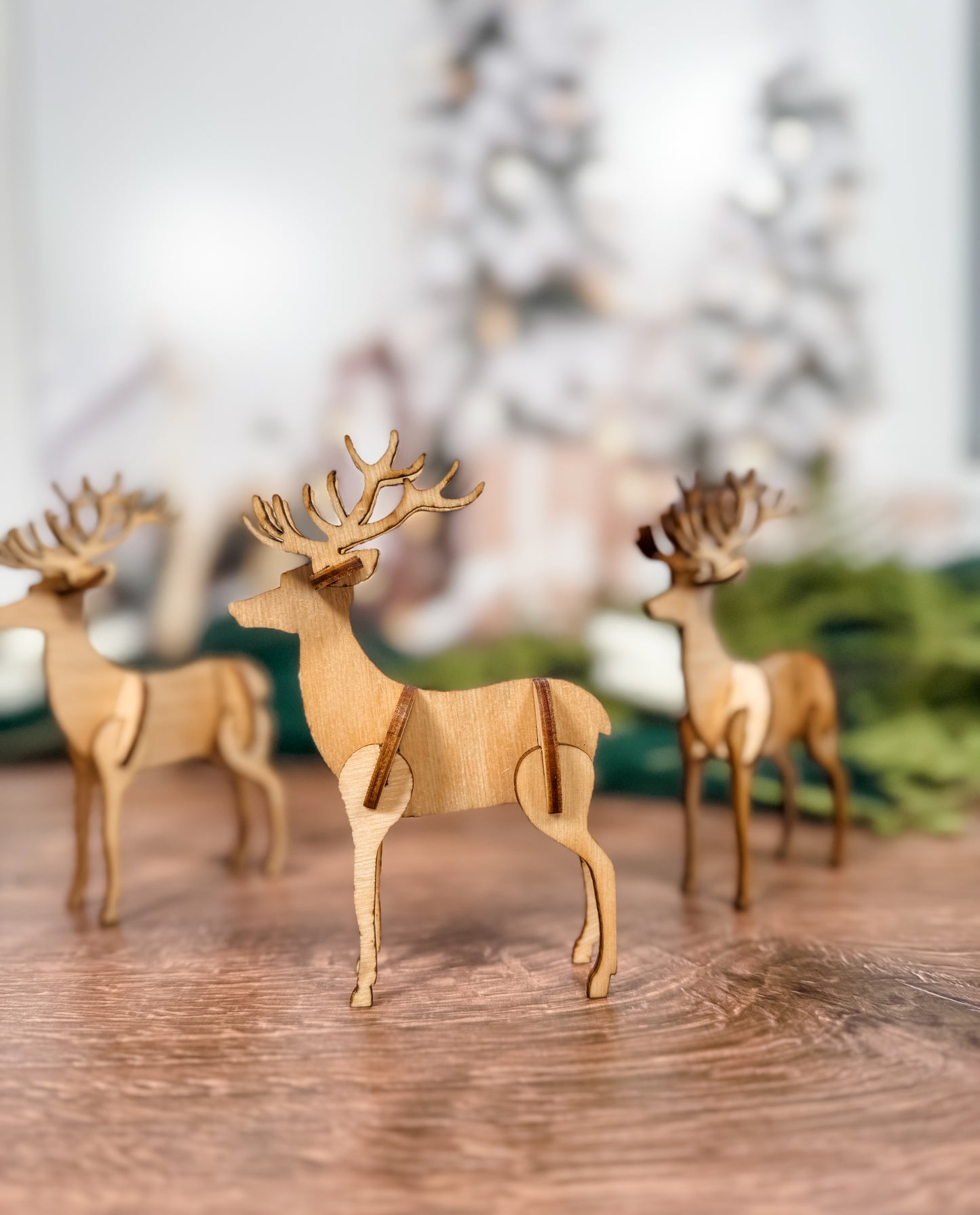 Reindeer Decor