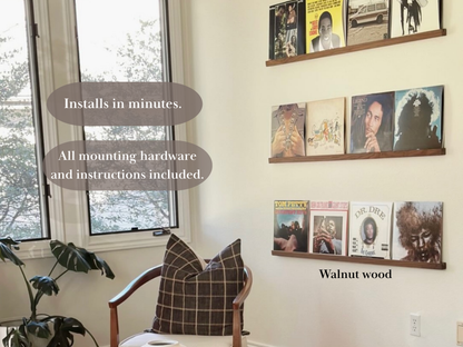 Vinyl Record Display Shelf