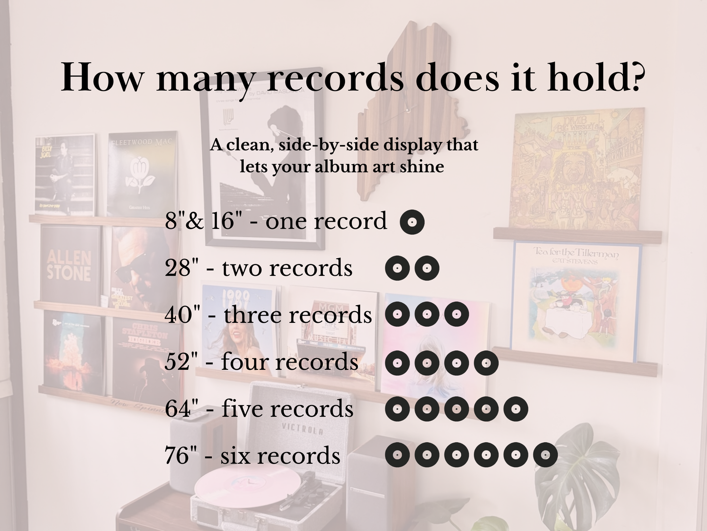 Vinyl Record Display Shelf