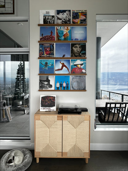 Vinyl Record Display Shelf
